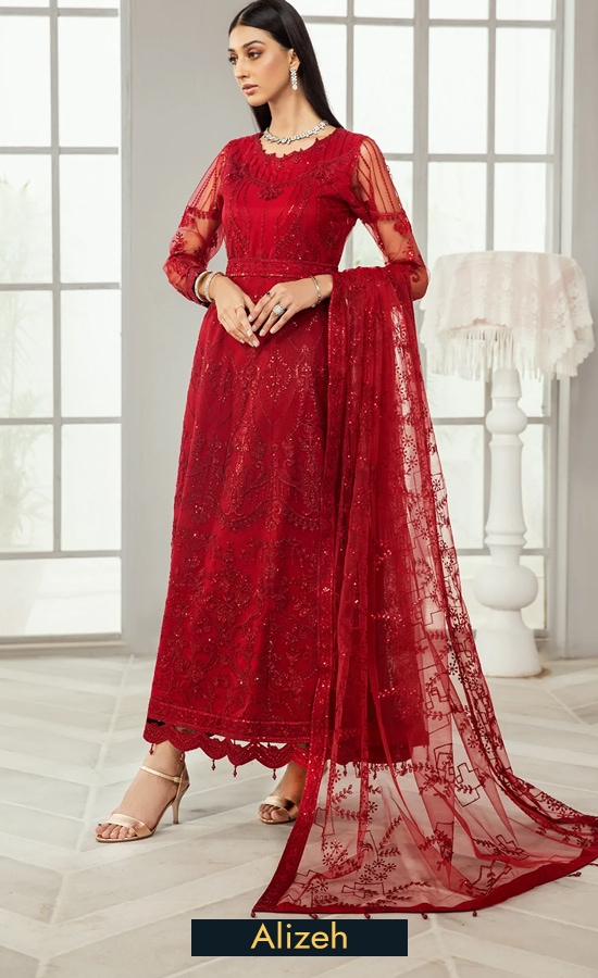 Alizeh Embroidered Net Rubi Dress 3