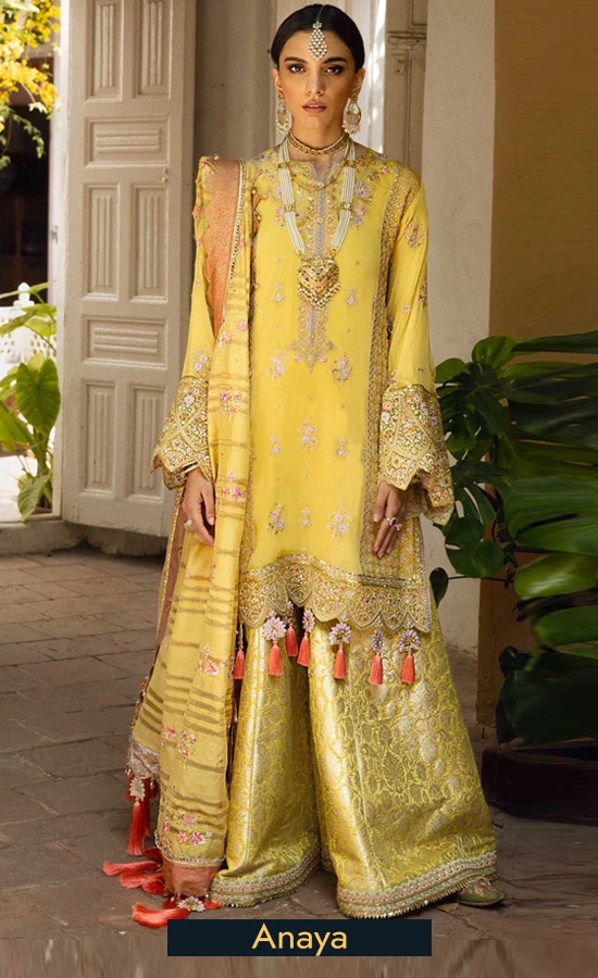Anaya by Kiran Chaudhry Embroidered Organza Alara Dress 2sss