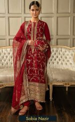 Embroidered Raw Silk - N23-02