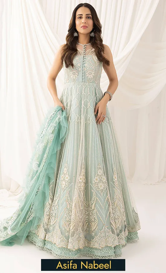 Embroidered Net - Chandni ANB-05