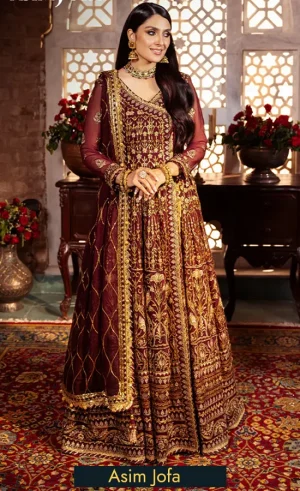 Embroidered Chiffon - AJJJ 06