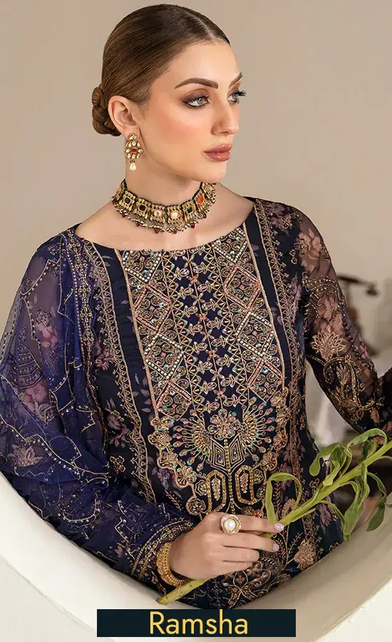 Embroidered Organza - E 101
