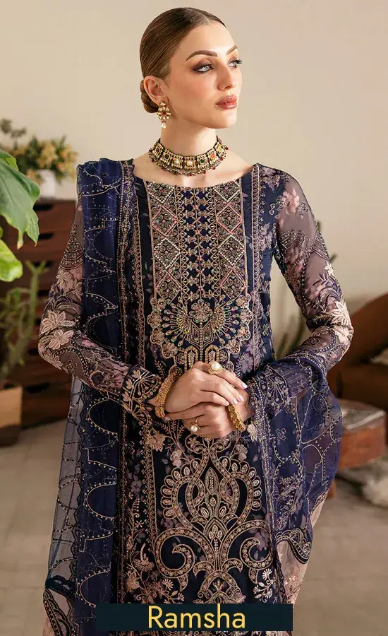 Embroidered Organza - E 101