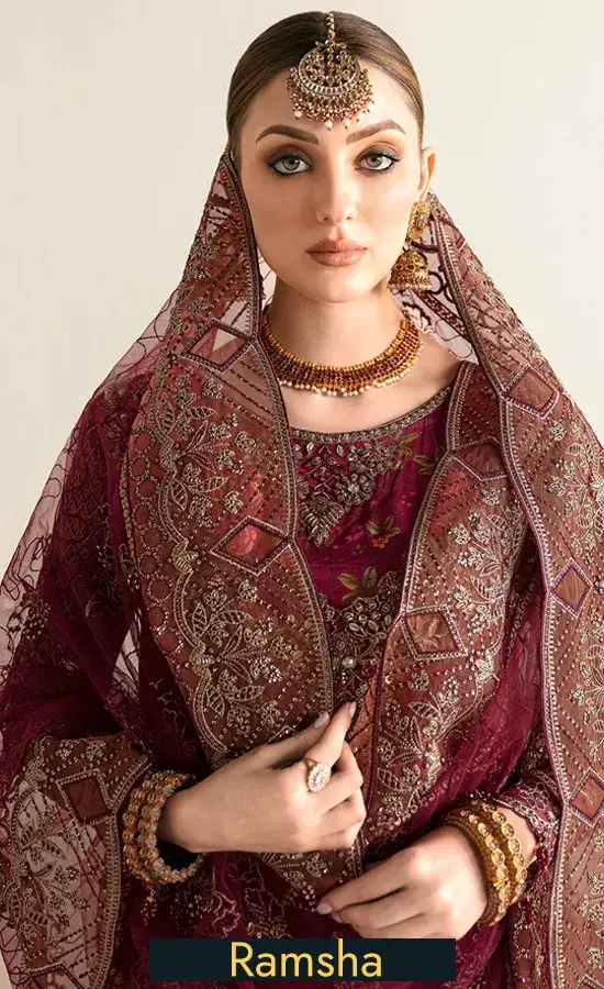 Embroidered Organza - E 103