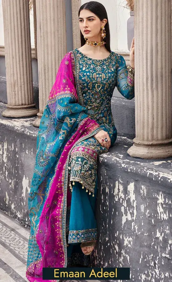 Embroidered Chiffon - Nw-05
