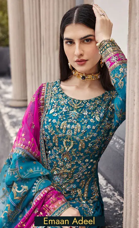Embroidered Chiffon - Nw-05