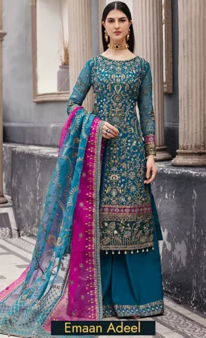 Embroidered Chiffon - Nw-05