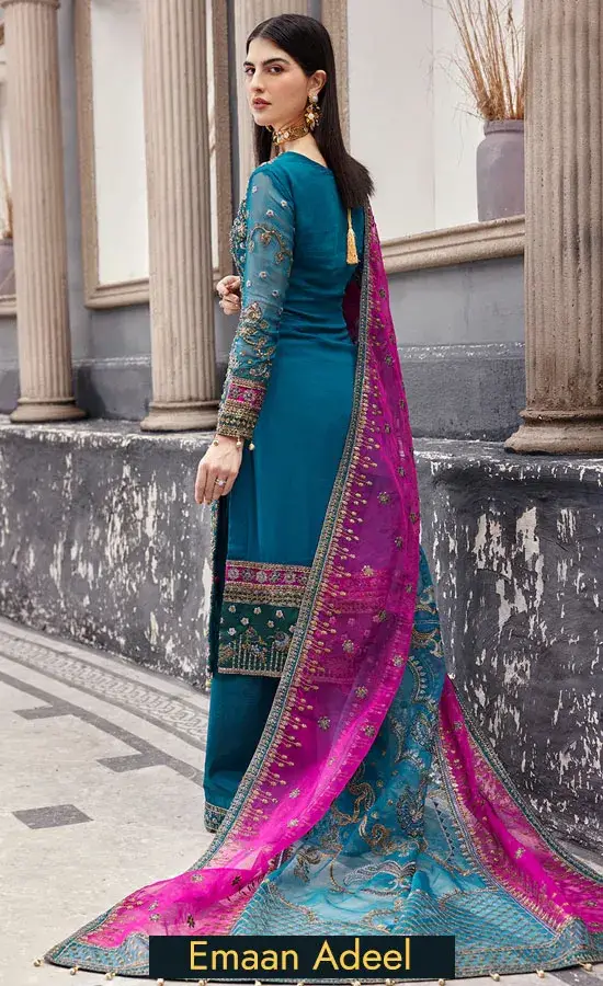 Embroidered Chiffon - Nw-05