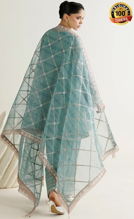 Embroidered light blue salwar kameez for wedding guests with crystal tassels and floral detailing