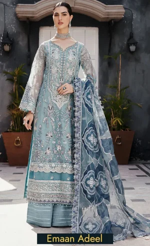 Embroidered Organza - Nw-02