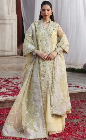 Angrakha Style Frock For Wedding Guestssss (3)