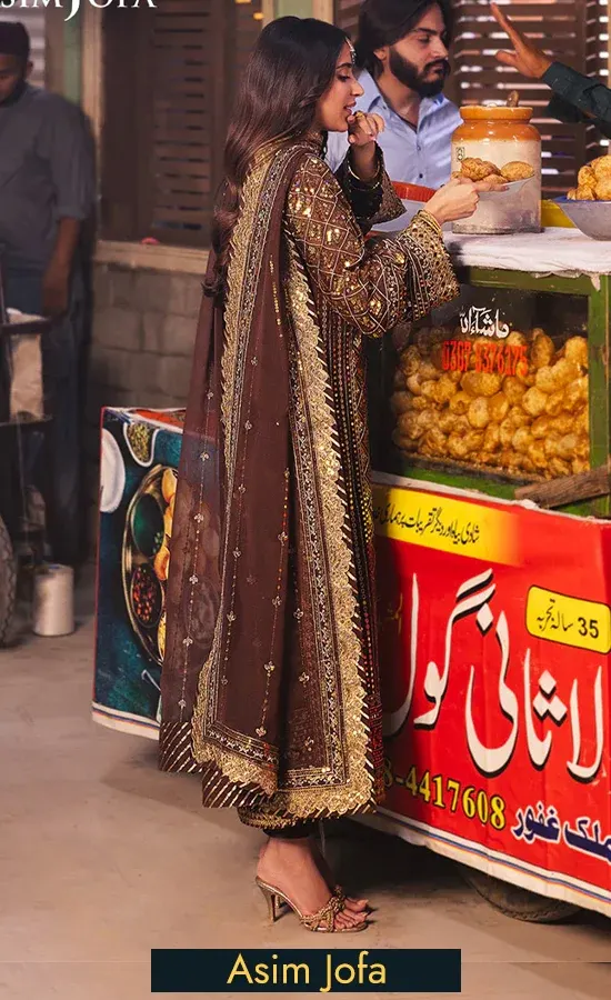 Brown Colour Salwar Kameez For Wedding Guests (1)