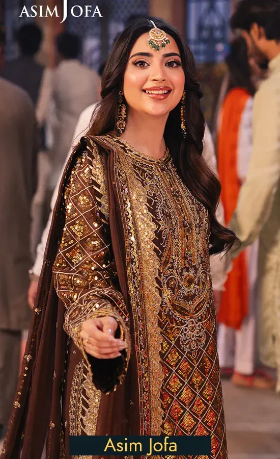 Brown Colour Salwar Kameez For Wedding Guests (4)