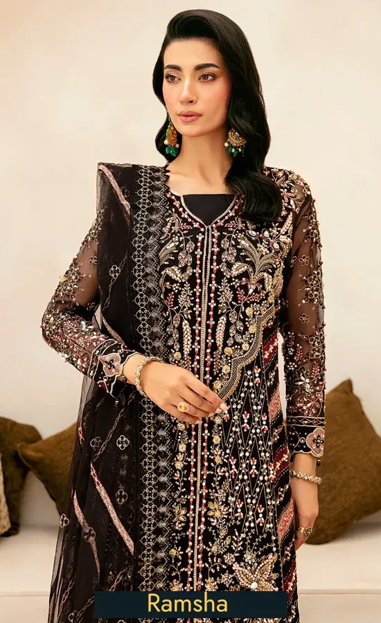 Embroidered Organza - HA-402