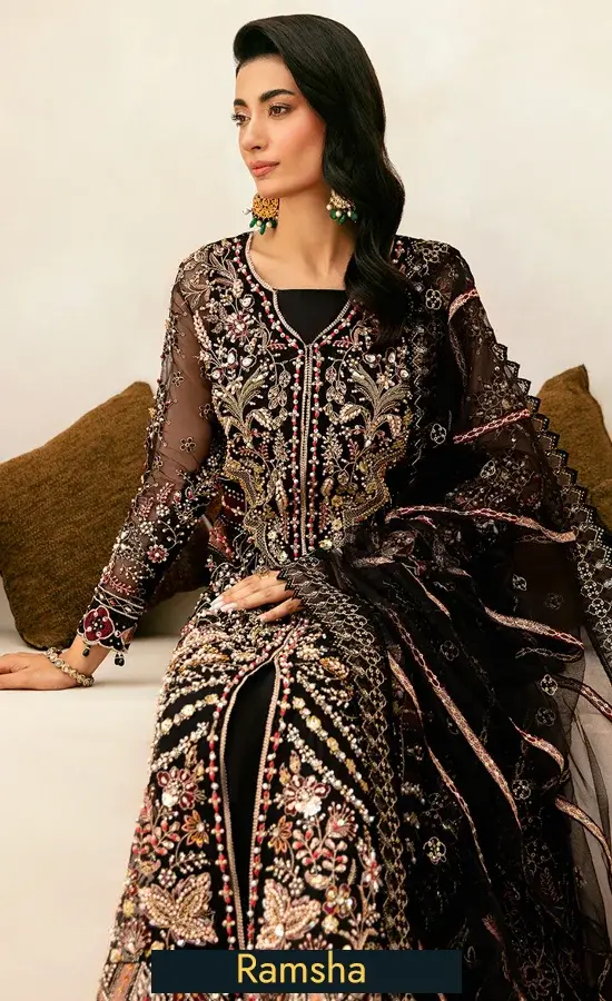 Embroidered Organza - HA-402