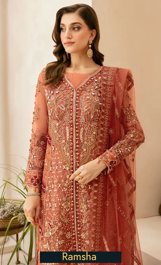 Embroidered Organza - HB-402