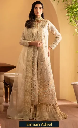 Organza Embroidered - Romansiyyah Zafia-1