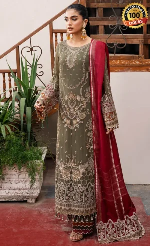 Embroidered Chiffon - I-214 Chaandni