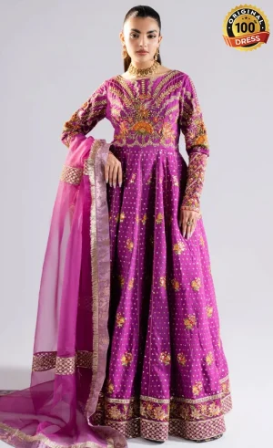 Embroidered Organza - Bina MS40003