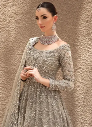 Grey silver bridal maxi in net with boat neckline, deep round back, 14 kalis and a long trail.