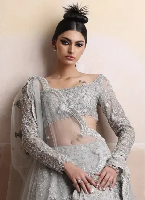 Pale grey silver lehenga choli with organza choli and tissue silk lehenga