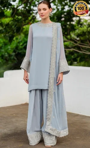 Embroidered Chiffon CC-70 (3)