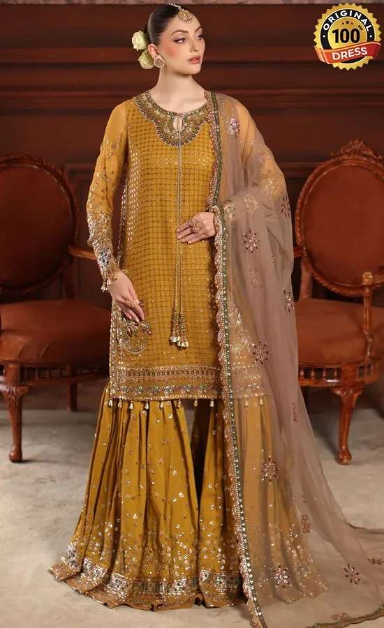 Embroidered Chiffon NL-92 Dress (1)