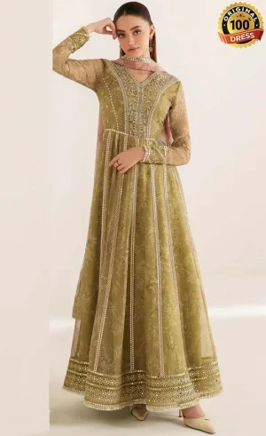 Embroidered Chiffon UC-3089 Dress (3)