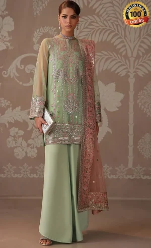 Embroidered Poly Net AJULD-10 Dress (3)