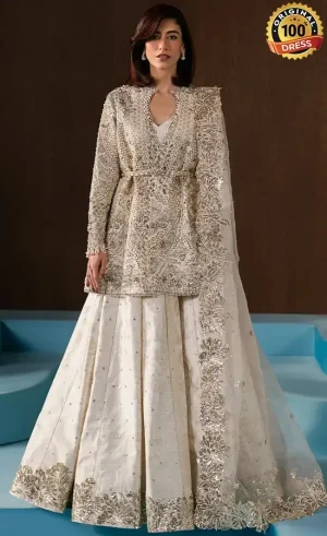 Embroidered Raw Silk Rohave Dress (4)