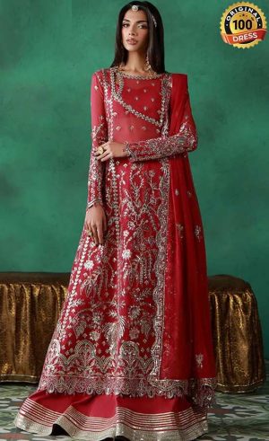 Embroidered Chiffon AJULN-01 Dress (1)