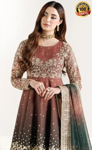 Embroidered Chiffon Rustic Glow Dress (4)