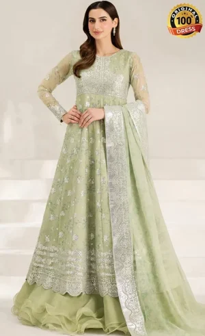 Embroidered Chiffon Sage Sparkle Dress (2)