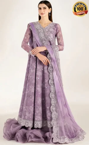 Embroidered Chiffon Violet Dreams Dress (4)