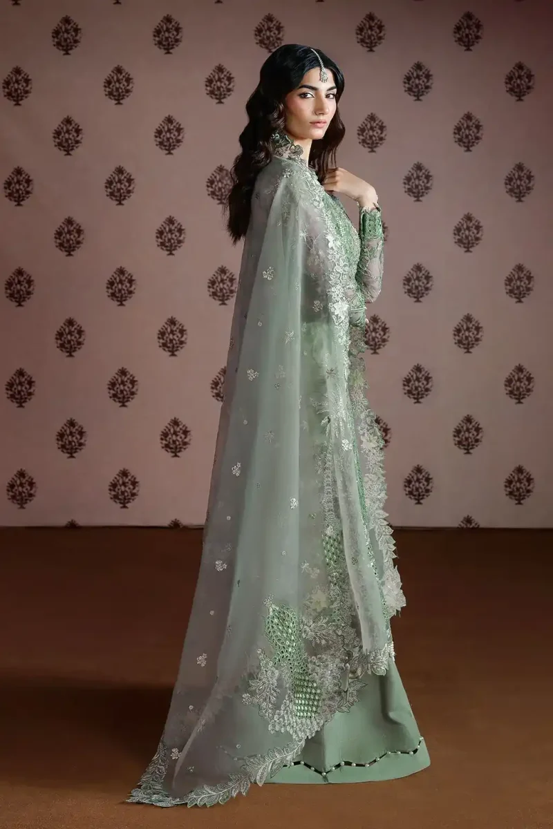 Embroidered Organza E-301 Dress (4)