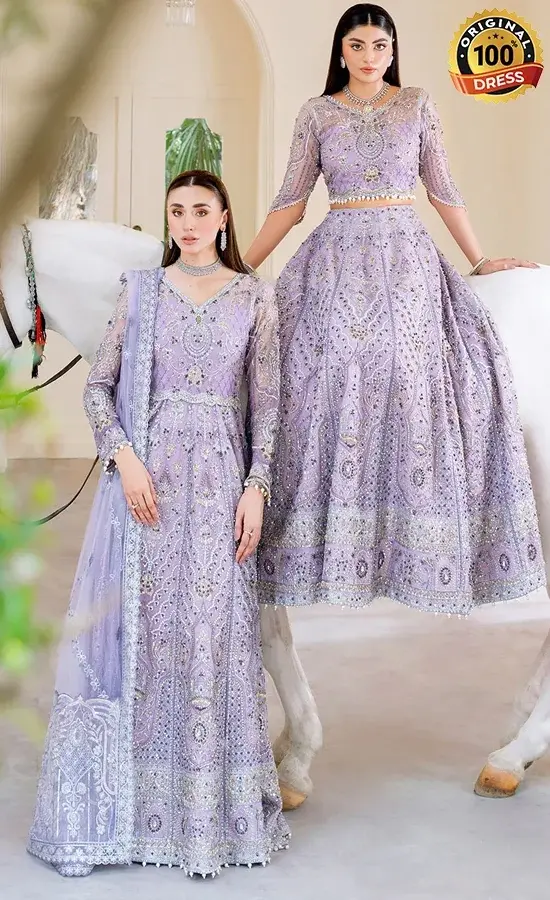 Ramsha PK Embroidered Organza H-505 Dress (3)