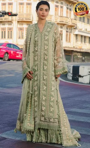 Afrozeh Embroidered Organza Deedar Dress (2)