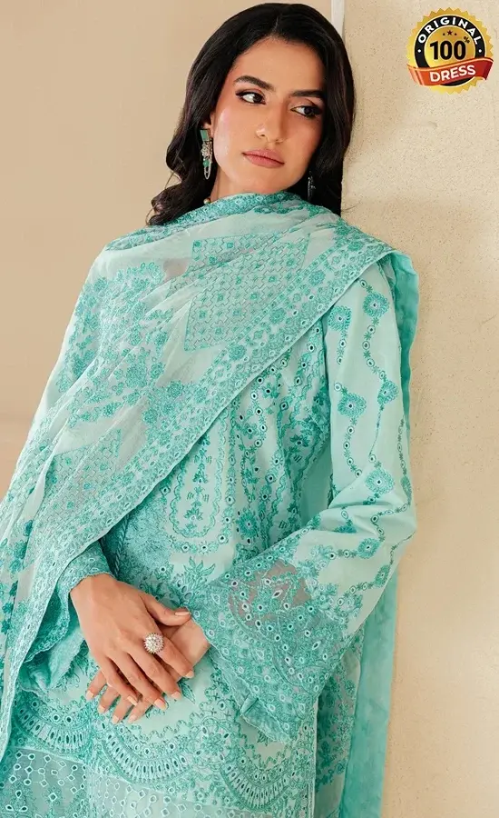 Aik Atelier Embroidered Lawn B2605A Dress (3)