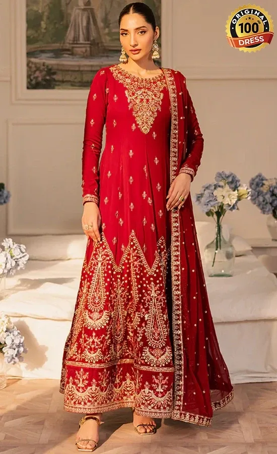 Embroidered Chiffon Cirel Dress (4) Embroidered Chiffon Cirel Dress (4)
