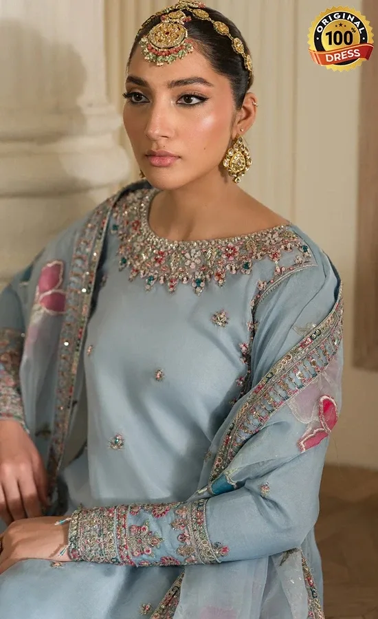 Embroidered Organza Esra Dress (3)