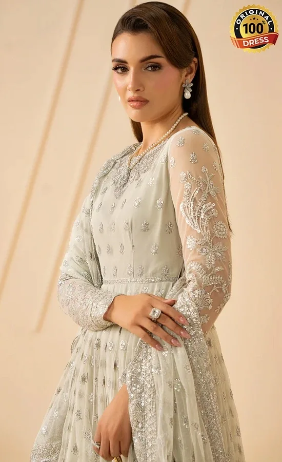 Zarif PK Emberoidered Net Atash Dress (4)