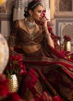 Maroon Velvet Bridal Lehenga with Paisley Video