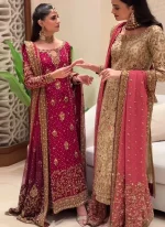 Ruby Red Wedding Guest Formal Dress Ruby Red Zardozi Long Formal Dress Video